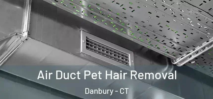 Air Duct Pet Hair Removal Danbury - CT
