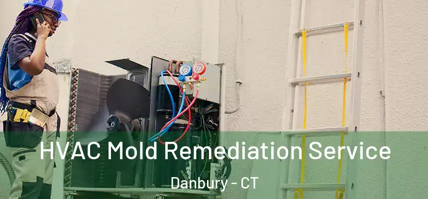 HVAC Mold Remediation Service Danbury - CT