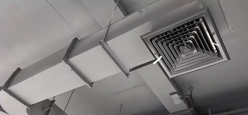 Restorative Allergy Relief Vent Cleaning – Coil, Blower & Housing Detail in Danbury