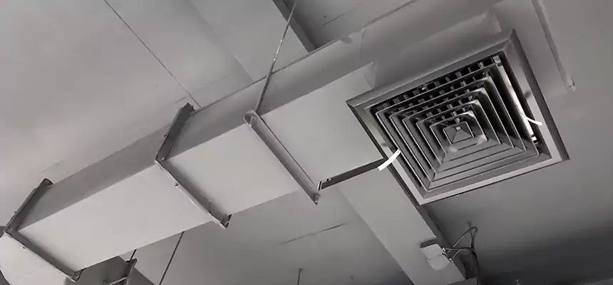 Our Pest Removal From Ducts Services in Danbury, CT