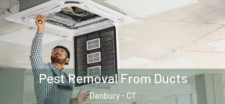 Pest Removal From Ducts Danbury - CT