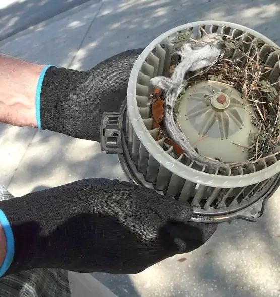 About Air Duct Rat Removal in Danbury, CT