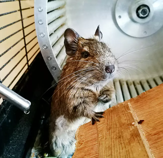 Why Homeowners & Businesses Trust Us Danbury, CT?