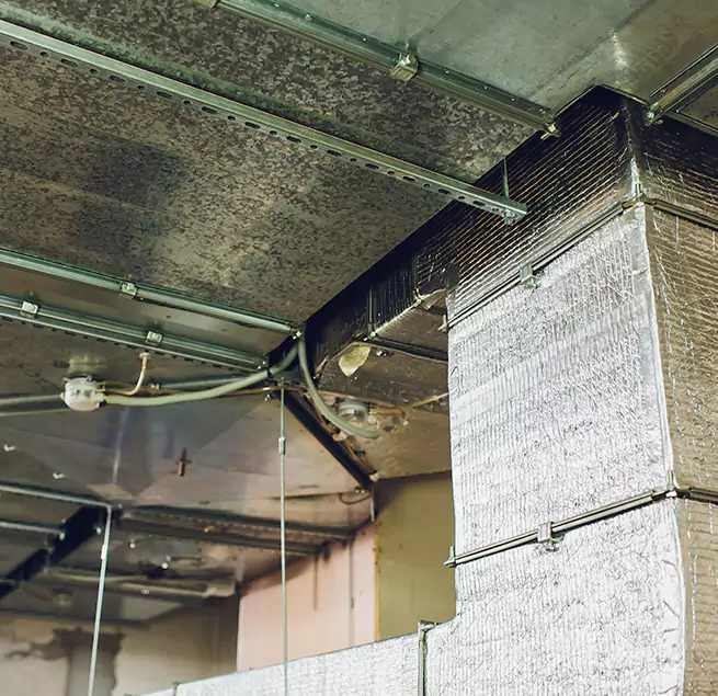 Why Homeowners & Businesses Trust Us in Danbury, CT?